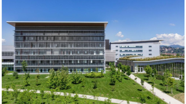 Enhancing Medical Center Landscaping: A Strategic Approach to Business and Management